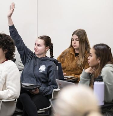 Student raises hand in class.